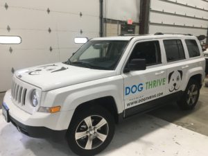 vehicle graphics